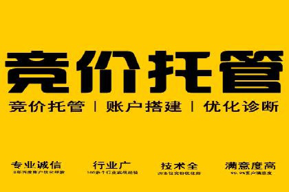 数字营销的利器：sem运营公司案例